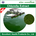 Hochwertiges Bio Chlorella und Spirulina Pulver